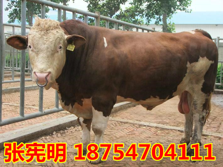 492112_副本.jpg
